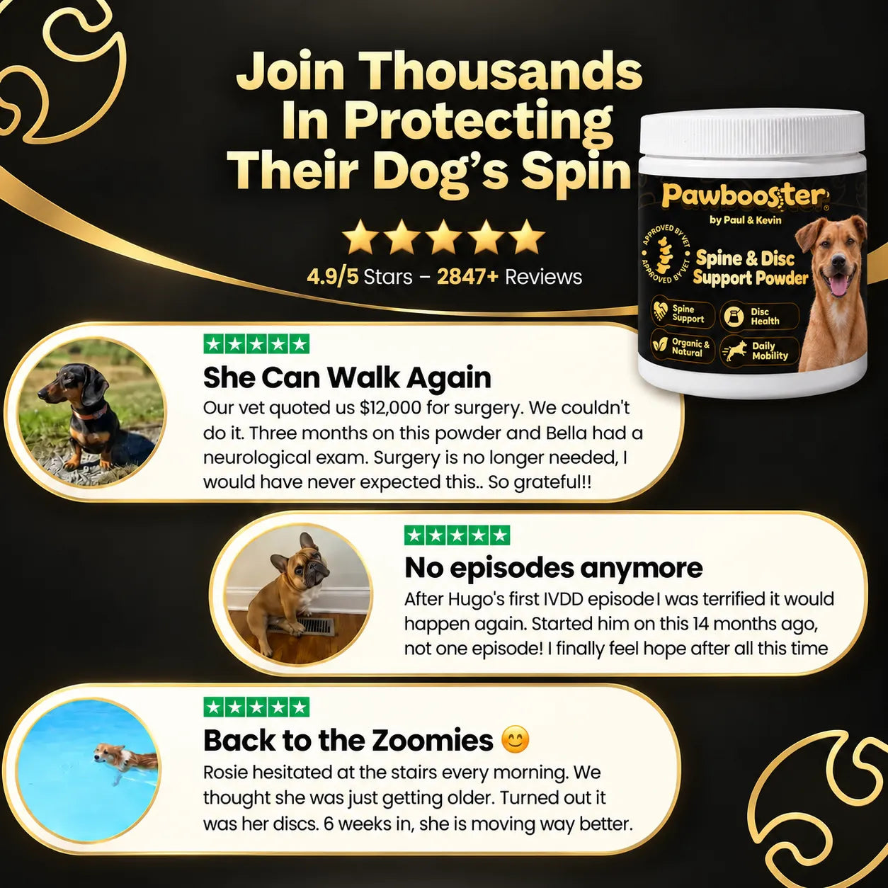 Pawbooster | Spine & Disc Powder