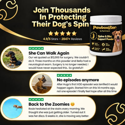 Pawbooster | Spine & Disc Powder
