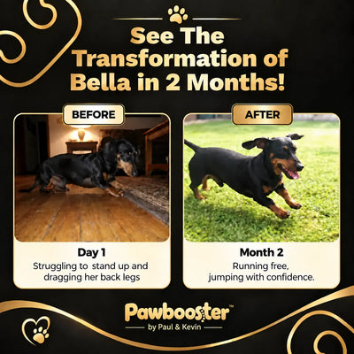 Pawbooster | Spine & Disc Powder