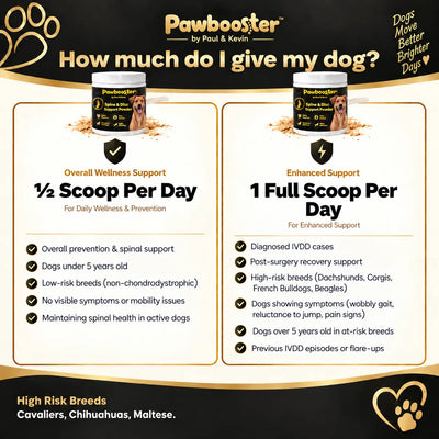 Pawbooster | Spine & Disc Powder