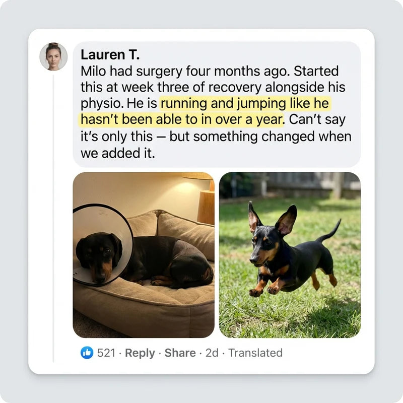 Review by Lauren T