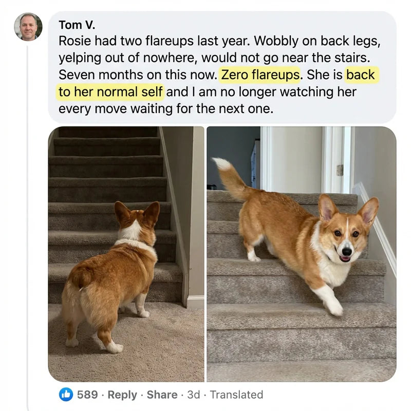 Review by Tom V