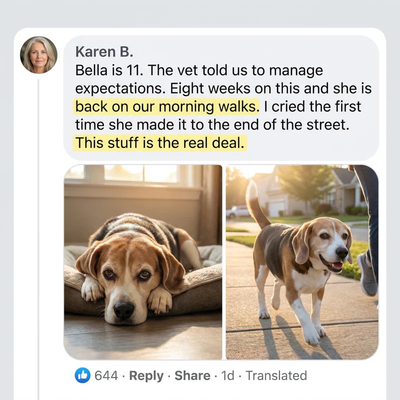 Review by Karen B